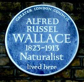 Alfred Russel Wallace