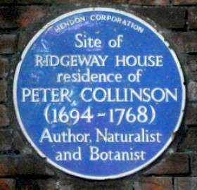 Peter Collinson