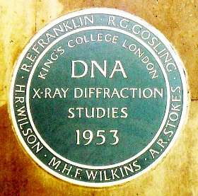 DNA Discovery and Studies