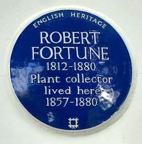 Robert Fortune