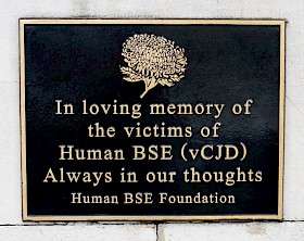Human B.S.E. Victims